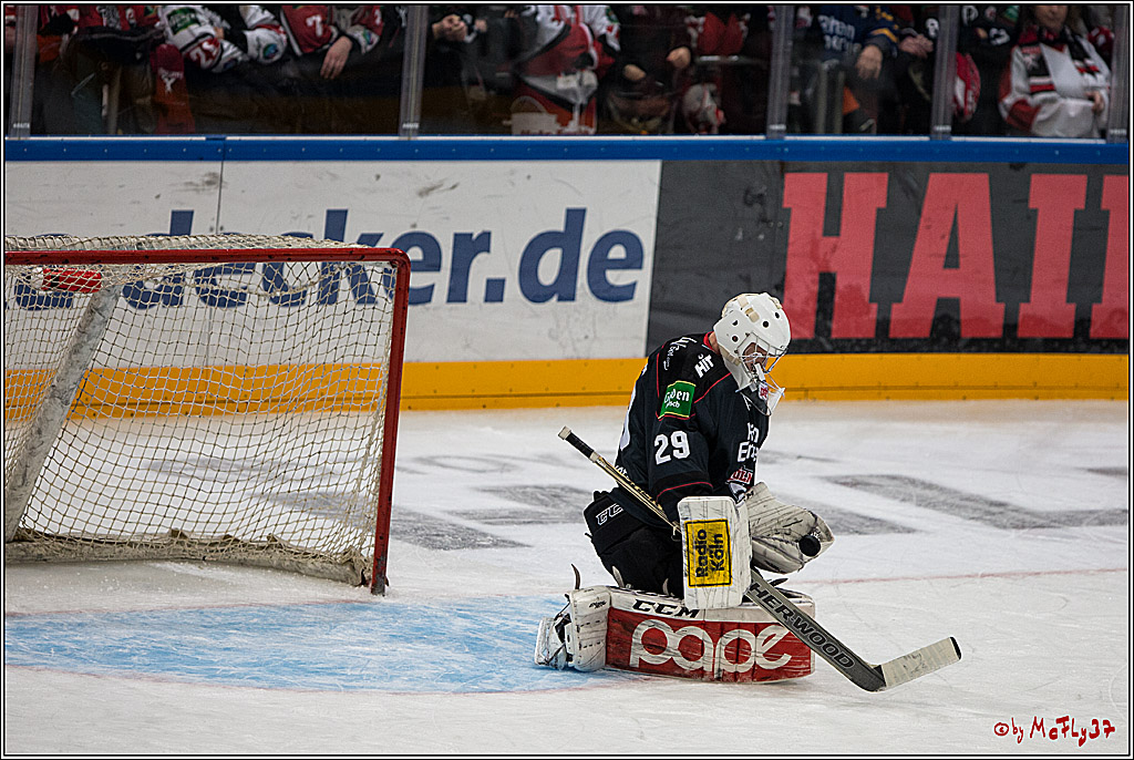 DEL, Koelner Haie - Augsburger Panther, 13.01.2017